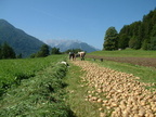 DSCF0022
