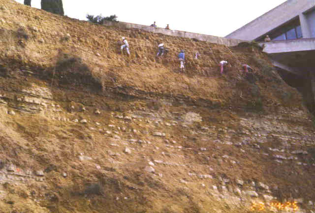File0011538