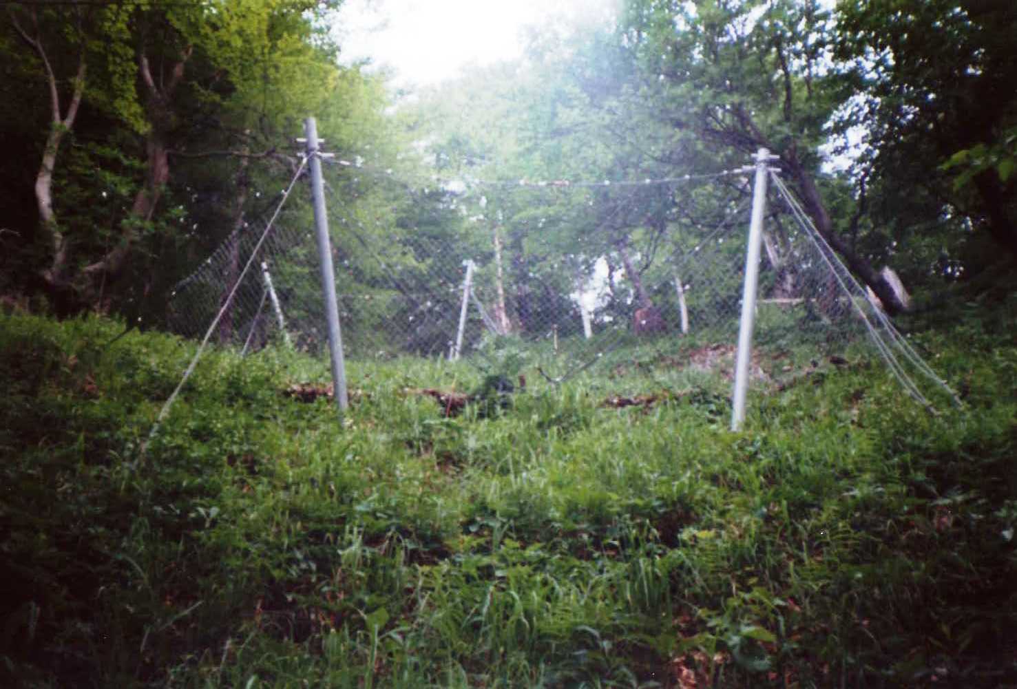 File0011778 File0011778